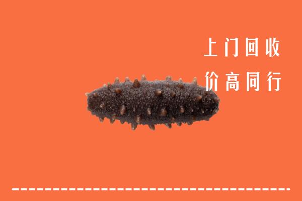 高价求购：东明县回收海参
